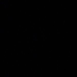 Meet your Posher, Catalina